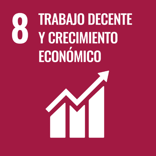 SDG Icon #8 (Spanish)