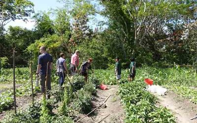 Crops, Cows, and the Children’s Garden: The Agriculture Program of NPH Bolivia