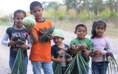 NPH Honduras: Leading the Way in Sustainable Development Projects