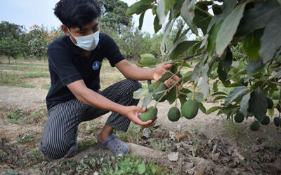 In Memory of his Father