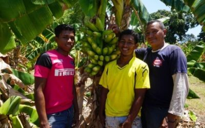 Josué: Dedicated to Building Sustainable Skills