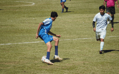 The Ambassadors of Peace